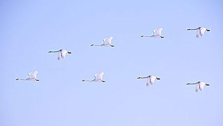 《最终幻想7：重制版》和服蒂法设定图 异国情调